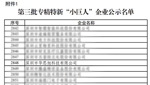 喜讯！爱游戏中国官方网站荣获专精特新“小巨人”称号