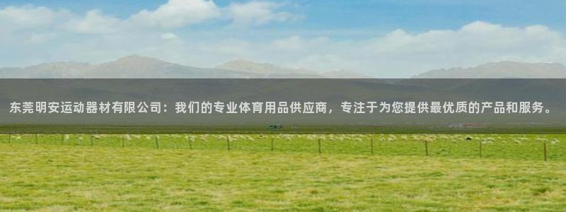 征途国际招商电话号码:东莞明安运动器材有限公司:我们的专业体